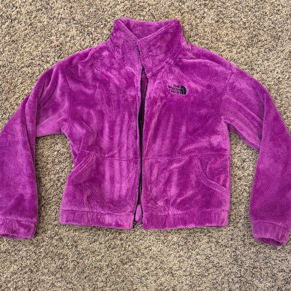 The North Face Vibrant Purple Fleece Jacket